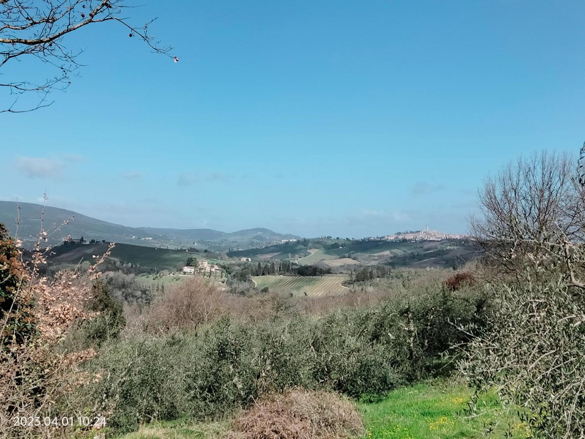 Piazza Arnolfo 1932 Apartman Colle Val D'Elsa Kültér fotó